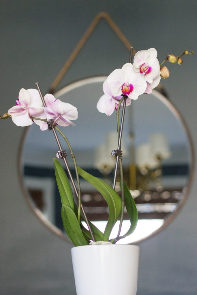 Check out this gorgeous spring home tour blog hop! 