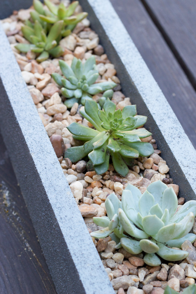 Find out how to make this DIY Faux Concrete Planter using FolkArt® Painted Finishes!