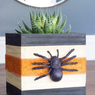 Learn how to make this cute Halloween planter box!