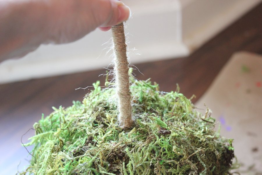 How to Make a DIY Moss Topiary - Erin Spain