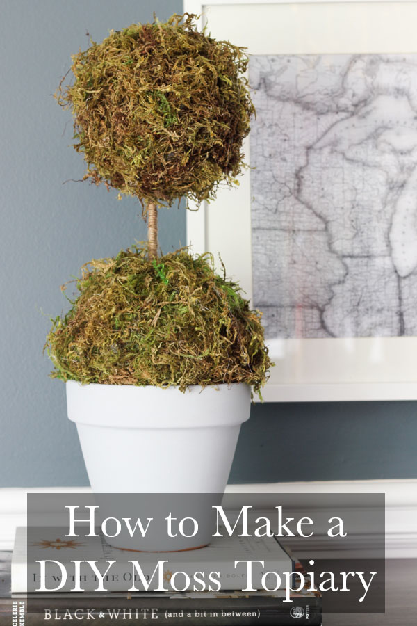 How to Make a DIY Moss Topiary - Erin Spain
