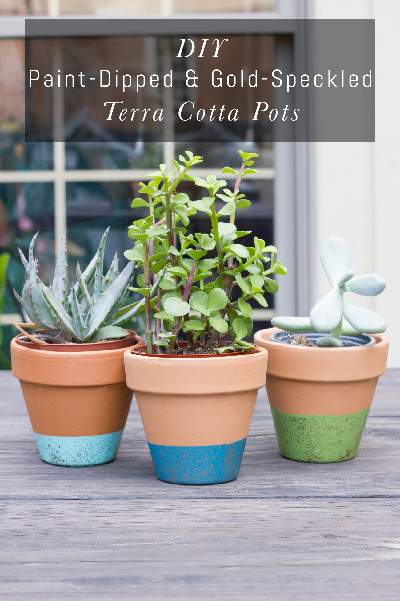 Paint Dipped & Gold Speckled Terra Cotta Pots Erin Spain
