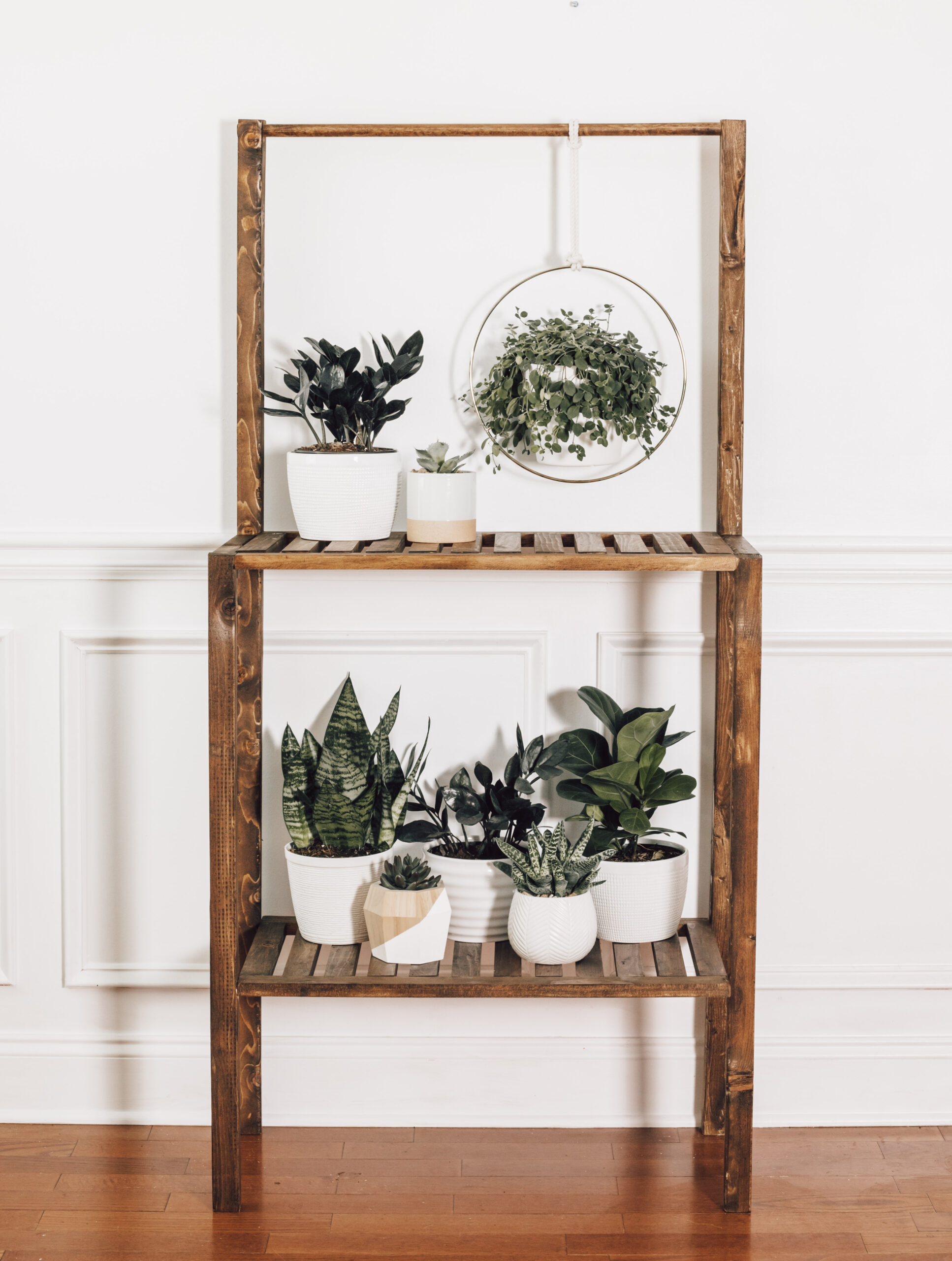 disco ball plants Mirror Ball Disco Planter Hanging Pot – Mutual Adoration + POST main image 1
