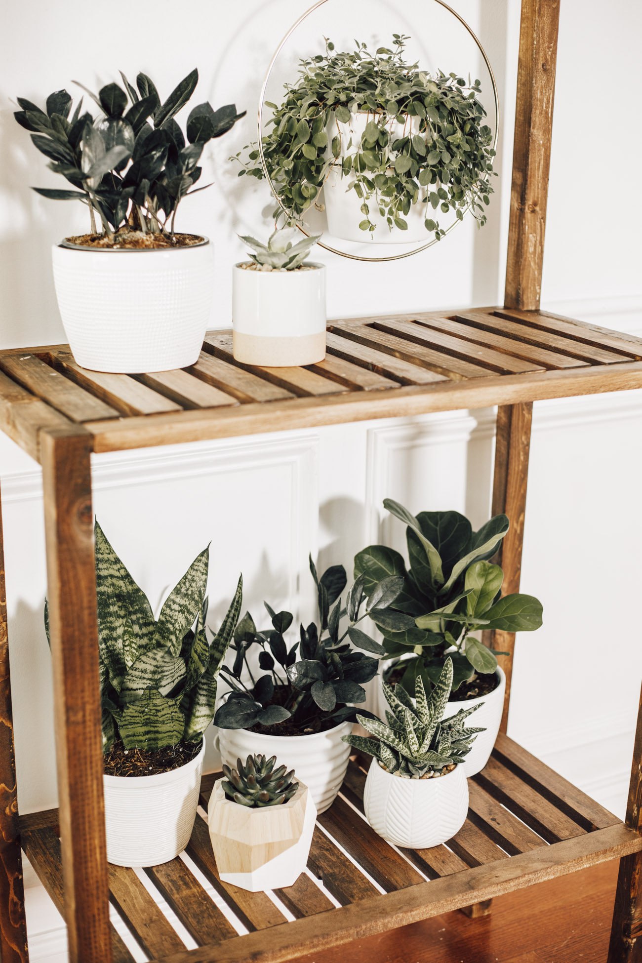 DIY Plant Shelf - Erin Spain