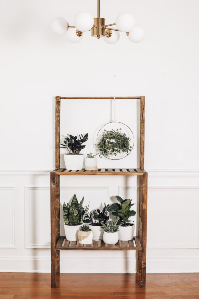 DIY plant shelf