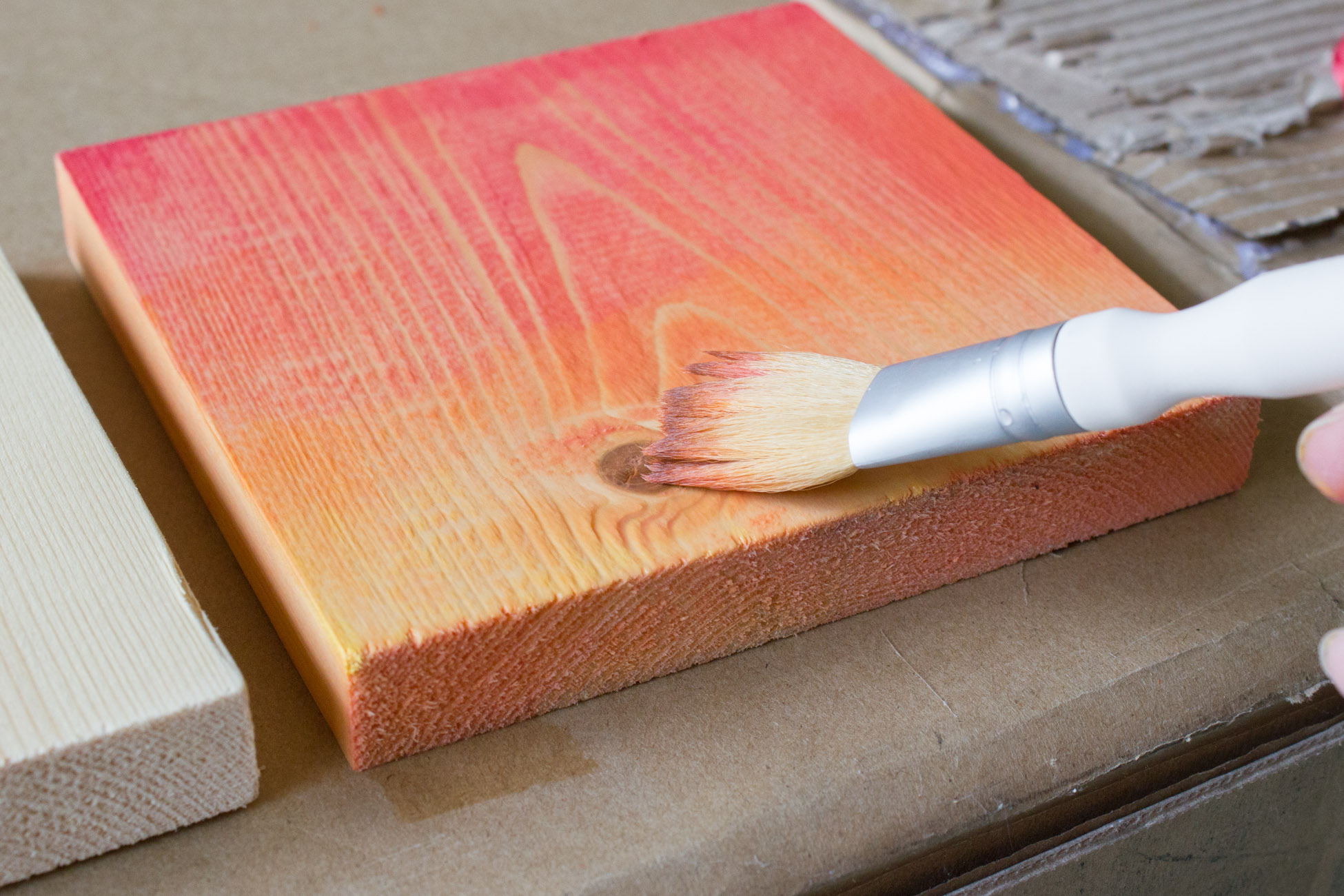 DIY Tropical Watercolor Art on Wood Erin Spain