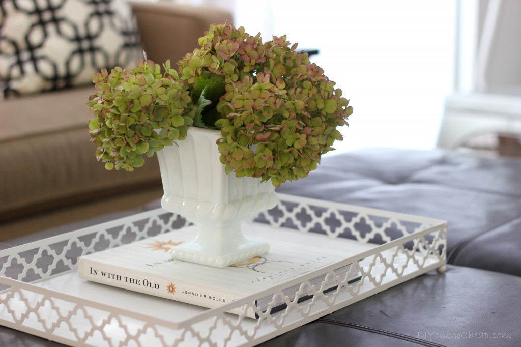 Simple Tray Makeover Erin Spain