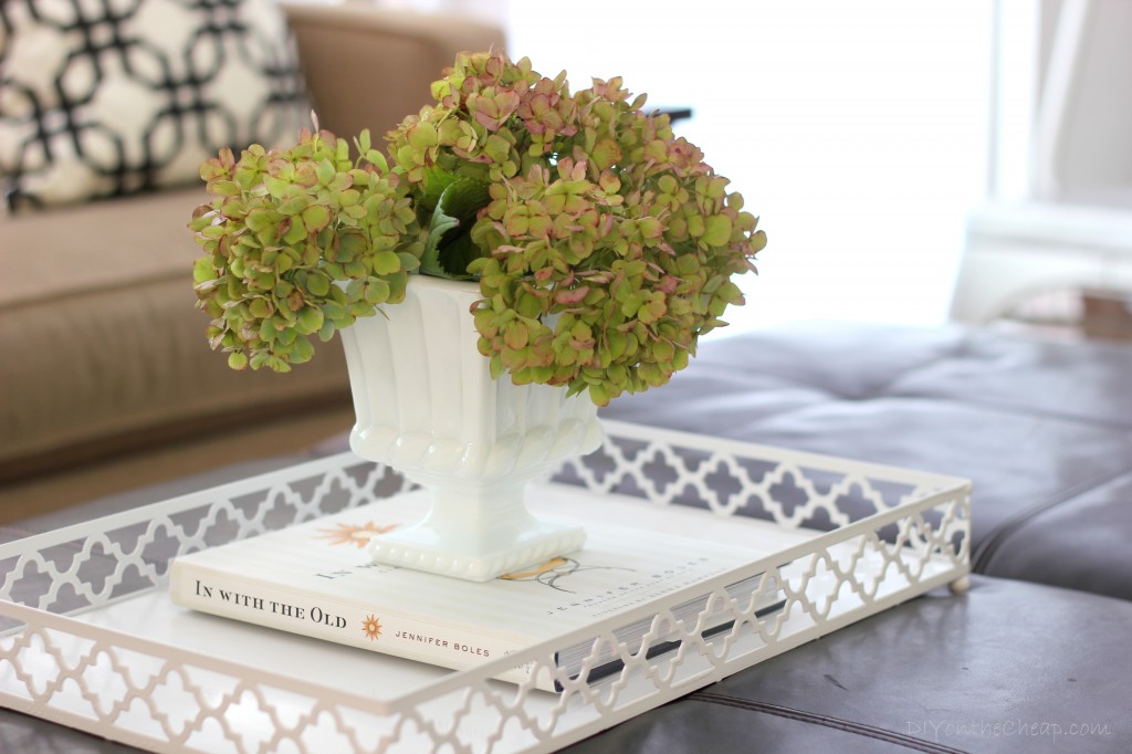Simple Tray Makeover - Erin Spain