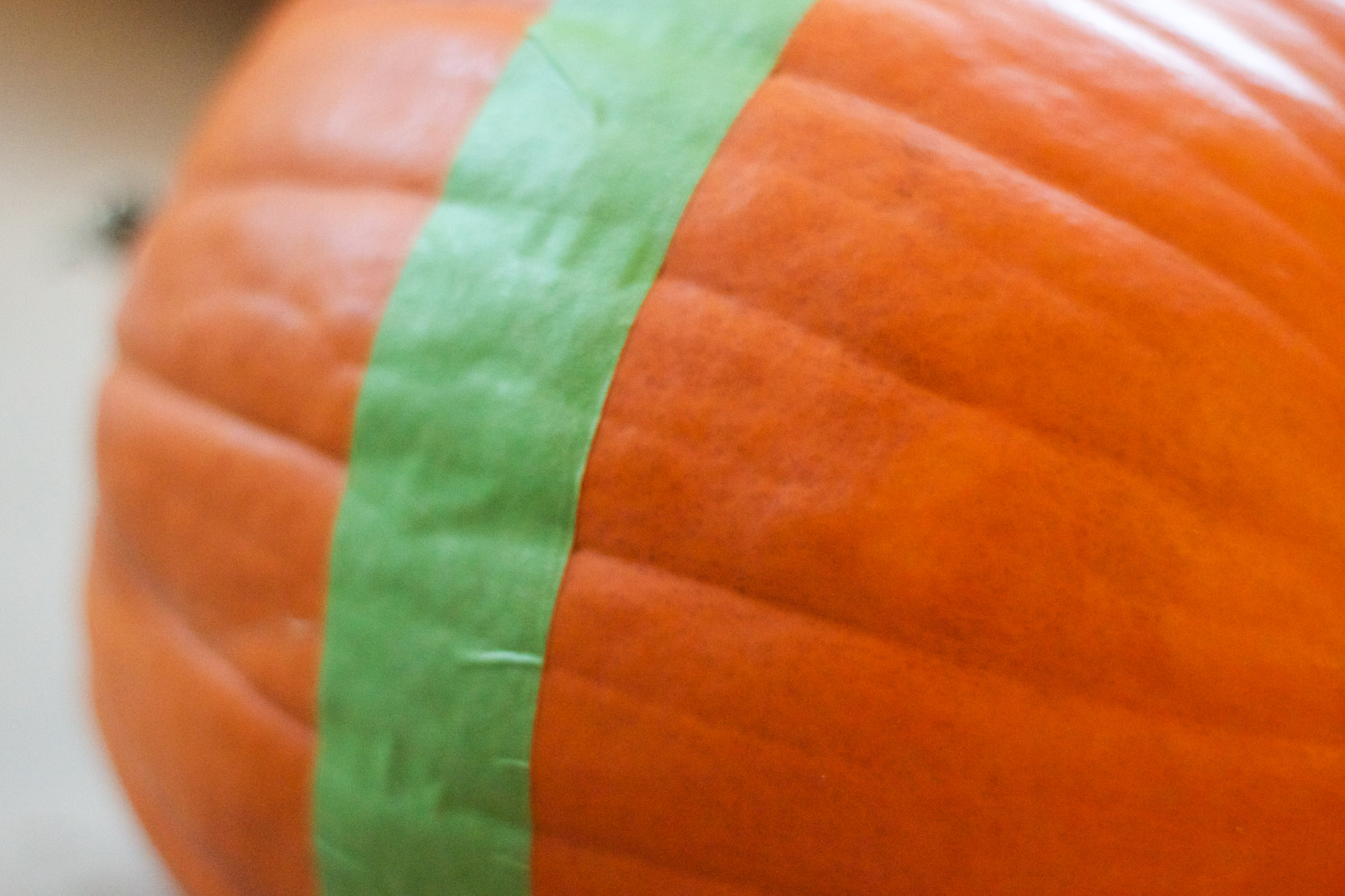 Paint Dipped Pumpkin Tutorial Erin Spain