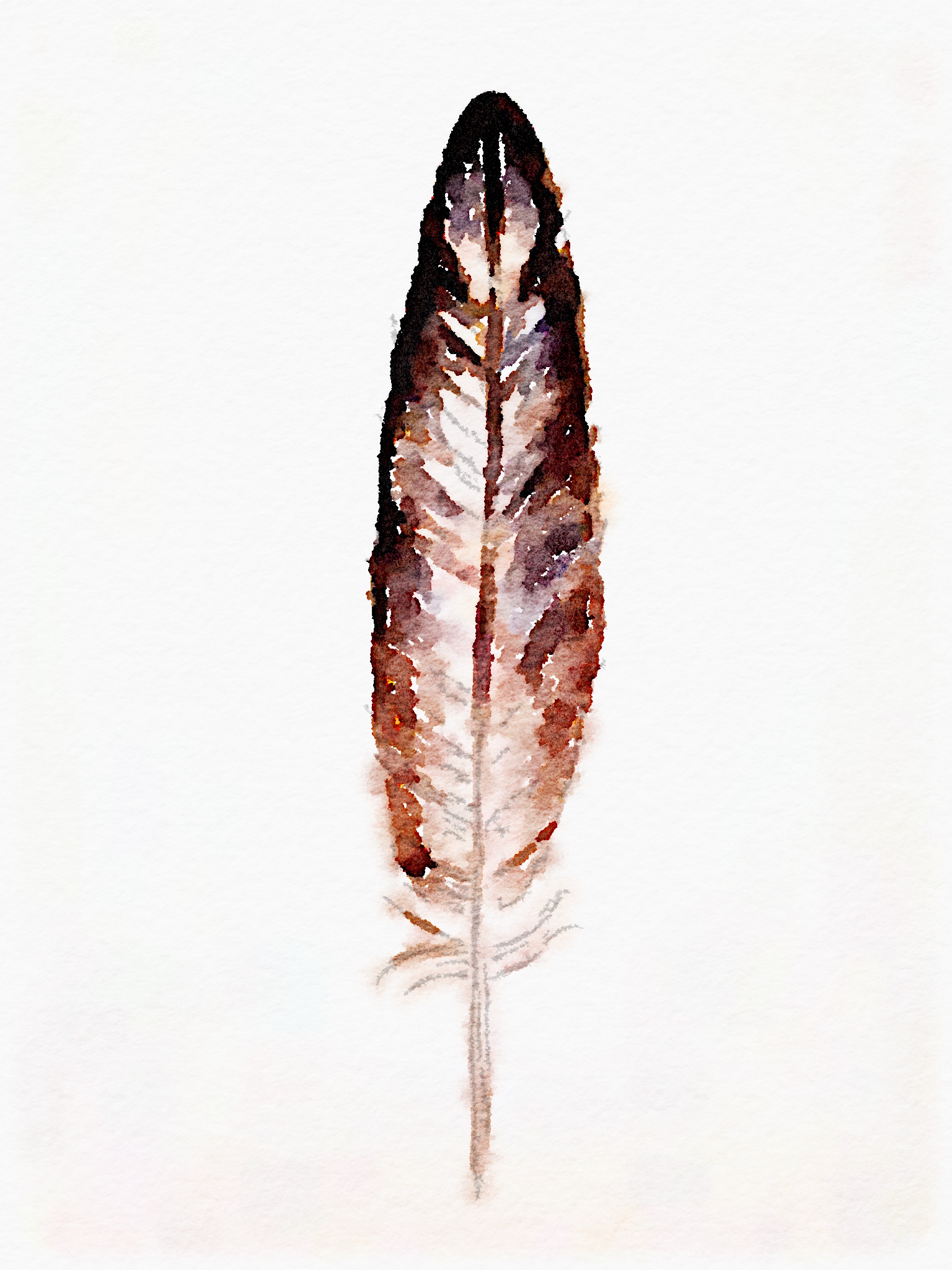 Watercolor Feather: Free Printable Art